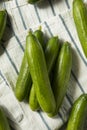 Raw Green Organic Persian Cucumbers