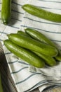 Raw Green Organic Persian Cucumbers