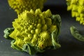 Raw Green Organic Romanesco Royalty Free Stock Photo