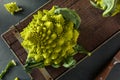 Raw Green Organic Romanesco Royalty Free Stock Photo