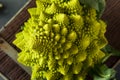 Raw Green Organic Romanesco Royalty Free Stock Photo