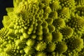 Raw Green Organic Romanesco Royalty Free Stock Photo