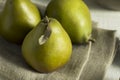 Raw Green Organic Seckel Pears Royalty Free Stock Photo