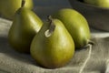 Raw Green Organic Seckel Pears Royalty Free Stock Photo