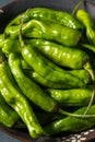 Raw Green Organic Shashito Peppers