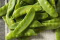 Raw Green Organic Snow Peas Royalty Free Stock Photo