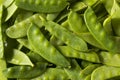 Raw Green Organic Snow Peas Royalty Free Stock Photo