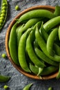 Raw Green Organic Sugar Snap Peas Royalty Free Stock Photo