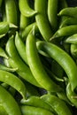 Raw Green Organic Sugar Snap Peas Royalty Free Stock Photo