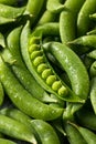 Raw Green Organic Sugar Snap Peas Royalty Free Stock Photo