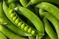 Raw Green Organic Sugar Snap Peas Royalty Free Stock Photo