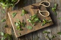 Raw Green Organic Thai Basil Royalty Free Stock Photo