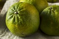 Raw Green Organic Ugli Fruit