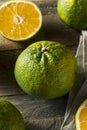 Raw Green Organic Ugli Fruit