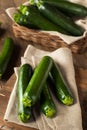 Raw Green Organic Zucchini Squash Royalty Free Stock Photo