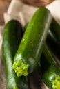 Raw Green Organic Zucchini Squash Royalty Free Stock Photo