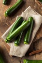 Raw Green Organic Zucchini Squash Royalty Free Stock Photo