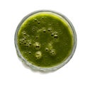 Raw green smoothie with fruits and spinach isolated. Top view Royalty Free Stock Photo