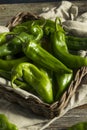 Raw Green Spicy Hatch Peppers Royalty Free Stock Photo