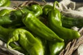 Raw Green Spicy Hatch Peppers Royalty Free Stock Photo