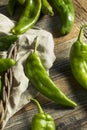 Raw Green Spicy Hatch Peppers Royalty Free Stock Photo