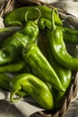 Raw Green Spicy Hatch Peppers Royalty Free Stock Photo