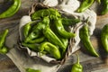 Raw Green Spicy Hatch Peppers Royalty Free Stock Photo