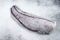 Raw grenadier macrurus fish. White background. Top view