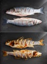 Raw and grilled sea bass fish on black plate Royalty Free Stock Photo