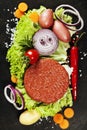 Raw Ground beef meat Burger steak cutlets with seasoning and veg Royalty Free Stock Photo