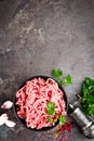 Raw ground beef meat with ingredients for cooking. Fresh minced meat Royalty Free Stock Photo