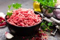 Raw ground beef meat with ingredients for cooking. Fresh minced meat Royalty Free Stock Photo