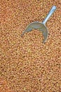 Raw groundnut with Stainless Steel Scoop half buried