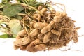 Raw Groundnuts Isolated
