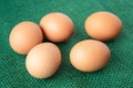 Raw group of eggs put on green sack