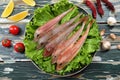 Raw gurnard fish in plate with green salad Royalty Free Stock Photo