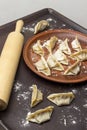 Raw gyoza dumplings on ceramic plate Royalty Free Stock Photo