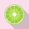 Raw half lime icon, flat style