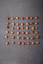 raw hazelnuts in shells lay out in square shape on grey background Royalty Free Stock Photo
