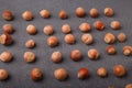 raw hazelnuts in shells lay out in square shape on grey background Royalty Free Stock Photo