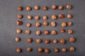 raw hazelnuts in shells lay out in square shape on grey background Royalty Free Stock Photo