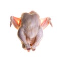 Raw headless chicken