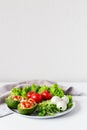 Raw healthy vegetarian food. Vegetables, mozzarella and olive oil on white background Royalty Free Stock Photo