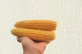 Raw home Golden corn cob in hand on light background, selective focus