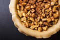 Raw homemade apple pie with cinnamon and walnuts, closeup Royalty Free Stock Photo