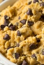 Raw Homemade Chocolate Chip Cookie Dough Royalty Free Stock Photo