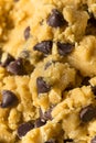 Raw Homemade Chocolate Chip Cookie Dough Royalty Free Stock Photo