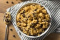 Raw Homemade Chocolate Chip Cookie Dough Royalty Free Stock Photo