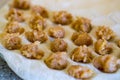 Raw homemade dumplings. Chicken meat with spices on the dough. The process of making dumplings Royalty Free Stock Photo