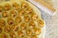 Raw homemade dumplings. Chicken meat with spices on the dough. The process of making dumplings Royalty Free Stock Photo